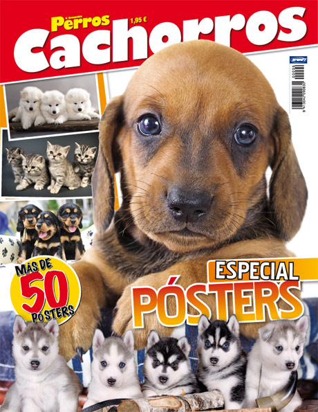 perros-y-cia-especial-posters-6